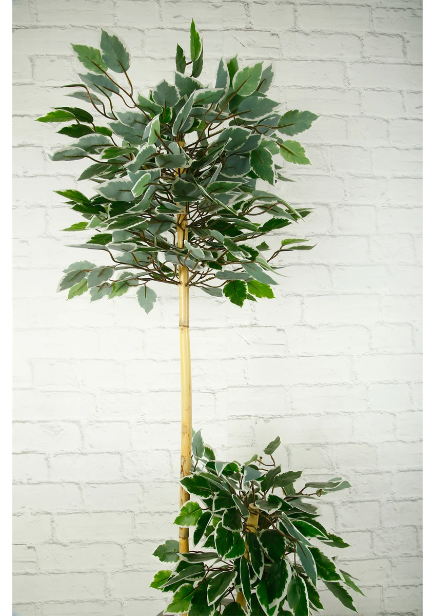 Yapay Çiçek Dekoratif Beton Saksıda Starlight Benjamin Ağacı Bambu Gövdeli Salon Ev Bitki 105 cm